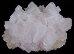 Pink Halite Crystal Plate - Trona, California #61070-1